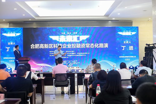 合肥高新区第七期科技企业投融资常态化路演圆满举行，软件开发项目备受瞩目